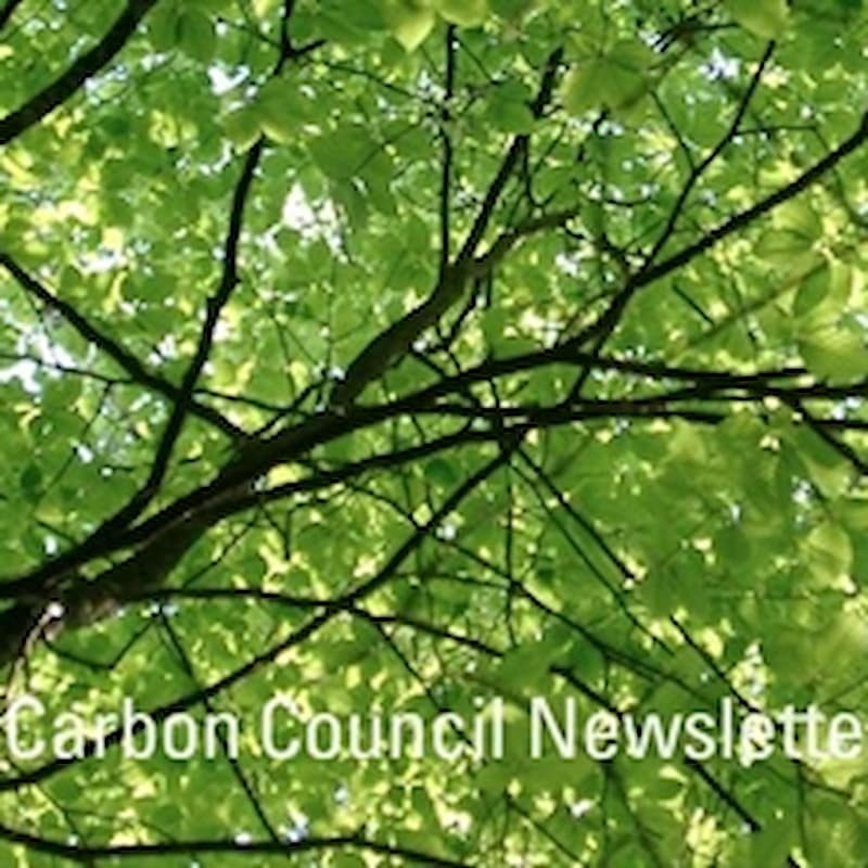 Carbon Council Newsletter - February 2024