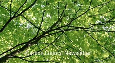 Carbon Council Newsletter - February 2024